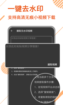 视频解析